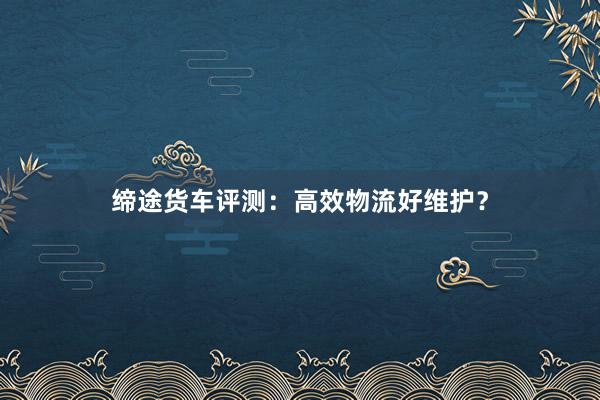 缔途货车评测：高效物流好维护？